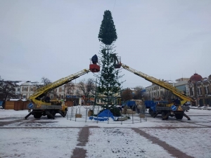 У Кропивницькому розбирають головну ялинку області (ФОТО)