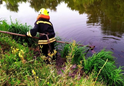 На Кіровоградщині у річці знайшли тіло чоловіка