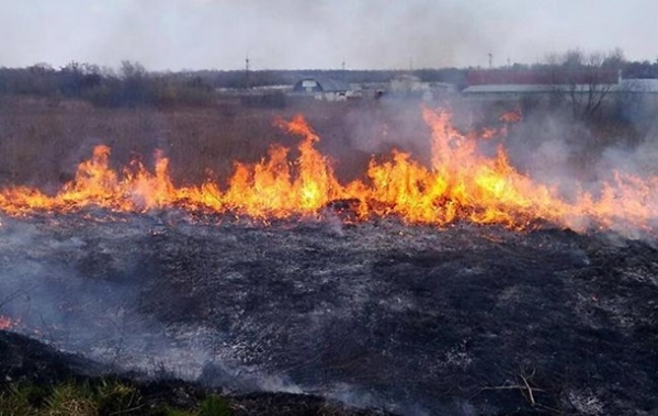 На Кіровоградщині попереджають про високий рівень пожежної небезпеки