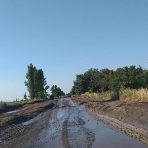 Кропивницький-Миколаїв: у мережі продемонстрували жалюгідний стан «легендарної» дороги (ФОТО)