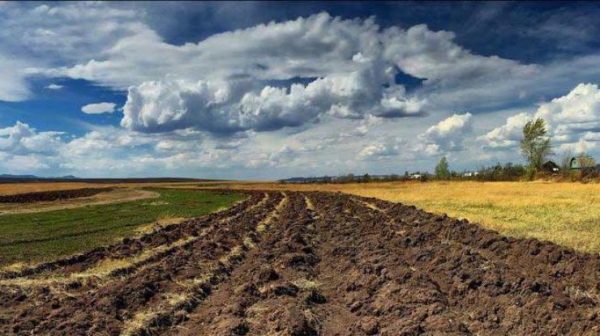 Фермер з Кіровоградщини повернув землі вартістю понад півмільйона гривень