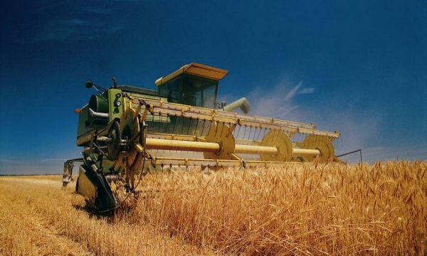 Скільки зернових уже зібрали на Кіровоградщині?
