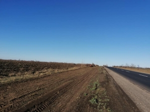 На дорозі Кропивницький-Миколаїв з’явились  чисті узбіччя, зупинки, туалети та горіхи (ФОТО)