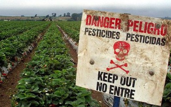 Жителі Кіровоградщини масово скаржаться на використання пестицидів та агрохімікатів