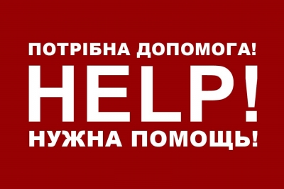 На Кіровоградщині водій збив 4-річного малюка та втік з місця події, потрібна допомога