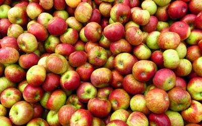 Жителів Кропивницького годують яблуками з громадської вбиральні (ФОТО)