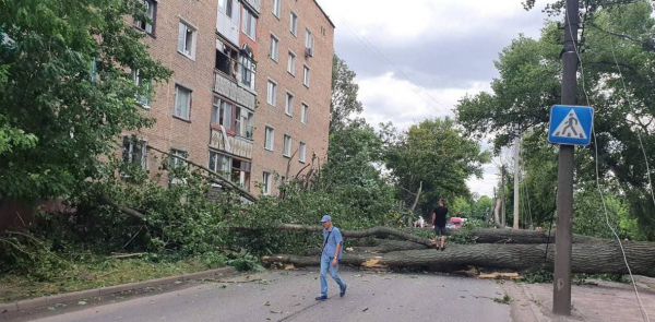 В одному з міст Кіровоградщини тополя впала на багатоповерхівку