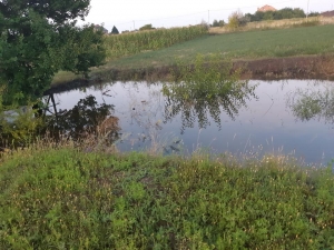 На Кіровоградщині ремонтники водоканалу більше тижня ігнорують масштабний порив (ФОТО, ВІДЕО)