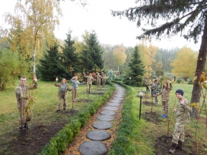 На Кіровоградщині відтворили частинку Японії. ФОТО