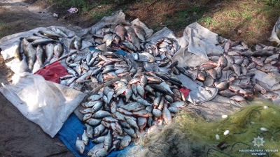 На Кіровоградщині карають за незаконну риболовлю