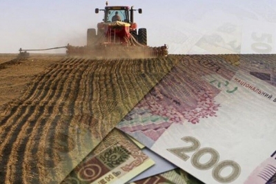 Фермери на Кіровоградщини побили власний рекорд