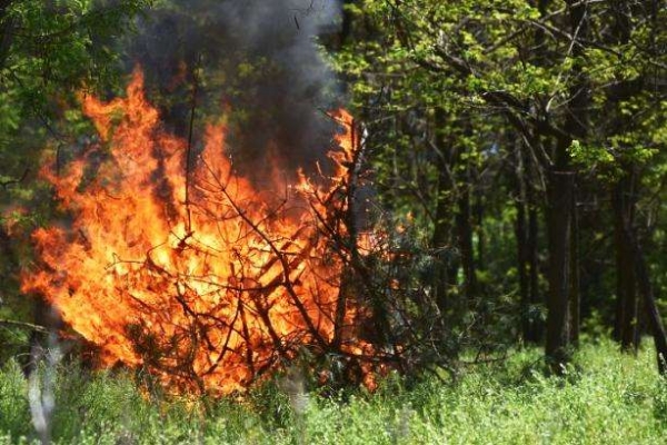 На Кіровоградщині очікується високий рівень пожежної небезпеки