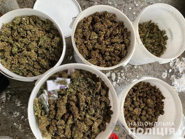 У Кропивницькому затримали наркозбувачів з 15 кг наркотиків