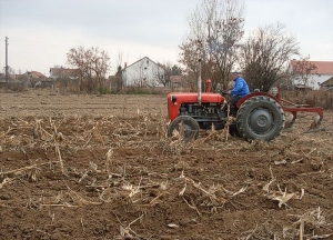 На Кіровоградщині виорали скелетовані рештки людини