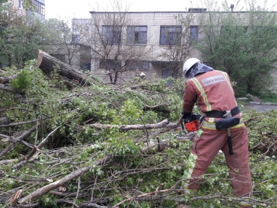 На Кіровоградщині дерево впало на дитячий майданчик (ФОТО)