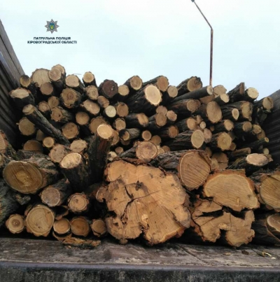 Поліція Кіровоградщини затримала вантажівку з «лівими» лісоматеріалами (ФОТО)