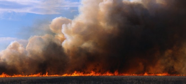 Масштабна пожежа під Кропивницьким: дим видно за багато кілометрів (ВІДЕО)