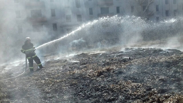 5,4 га екосистеми згоріли на Кіровоградщині. ФОТО