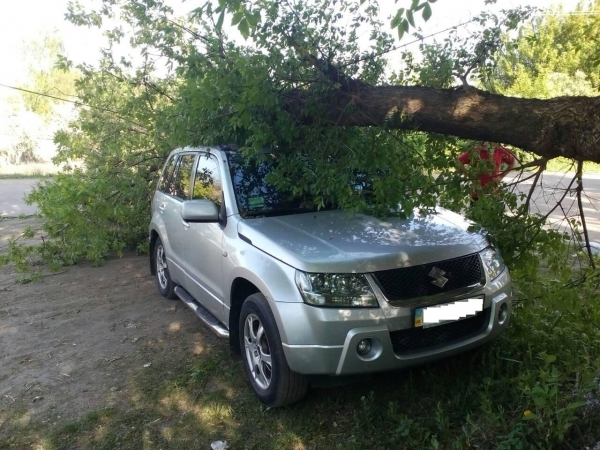 На Кіровоградщині дерево впало на позашляховик. ФОТО