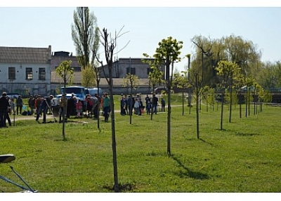 Близько півтораста молодих дерев висадили у Кропивницькому