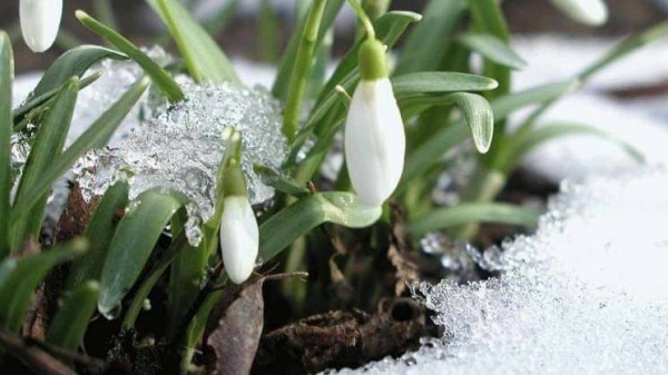 Сніг та ожеледь: погода на Кіровоградщині
