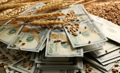 На Кіровоградщині викрили схему привласнення зерна на суму більше 600 тисяч гривень