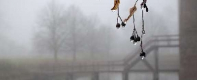 Туман, дощ, ожеледь: жителів Кіровоградщини попереджають про погоду І рівня небезпеки