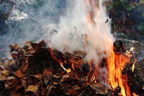 У Кропивницькому оголосили війну спалювачам листя