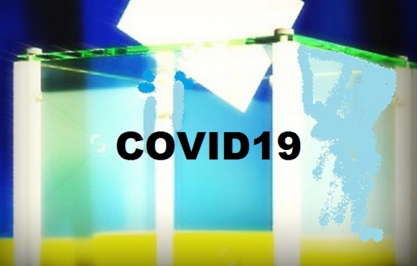 Чи заваде COVID-19 виборчому процесу в Кропивницькому