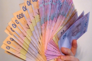 Окремі категорії жителів Кіровоградщини отримають до свят державну допомогу (ПЕРЕЛІК)