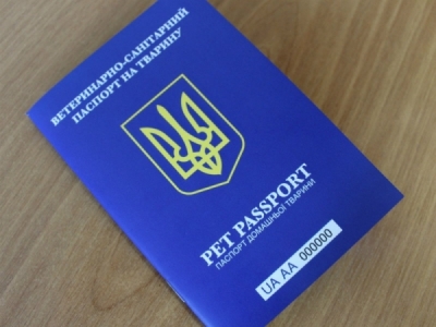У Кропивницькому домашнім тваринам мінятимуть старі паспорта на нові