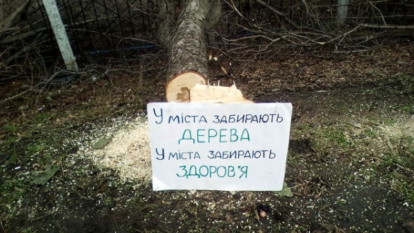 Меру Кропивницького довелося пекти раків через знищені дерева
