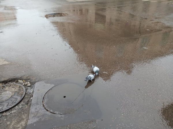 Порив у Кропивницькому: чиста вода «миє» центр міста (ФОТО)