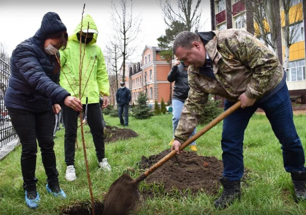 У Кропивницькому на території дитячої лікарні висадили 30 сакур