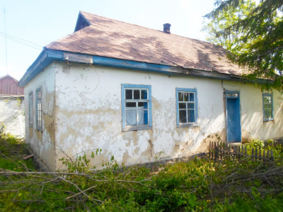 Будівлю державної лікарні ветмедицини на Кіровоградщині продадуть на аукціоні