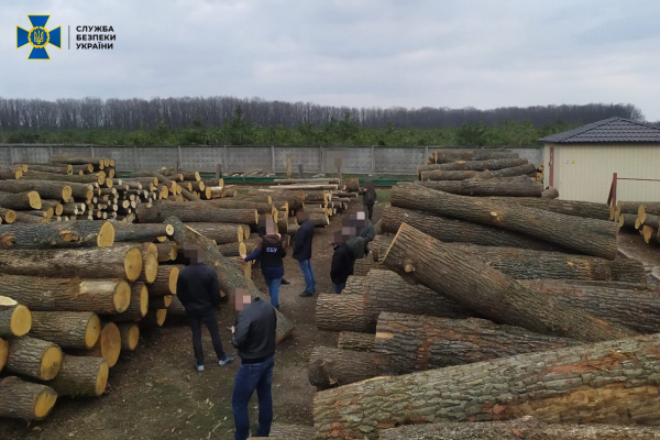 На Кіровоградщині СБУ заблокувала нелегальний експорт деревини