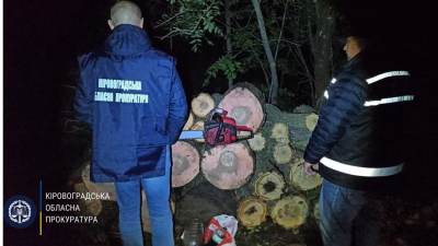 &quot;Чорні лісоруби&quot; вирубали дерев на понад мільйон на Кіровоградщині
