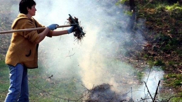 Жителям Кіровоградщини повідомили, чим загрожує спалювання опалого листя