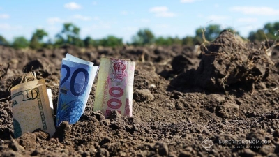Гектар землі на Кіровоградщині коштує понад 30 тисяч гривень