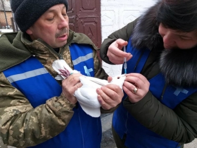 На Кіровоградщині масово вакцинують домашню птицю