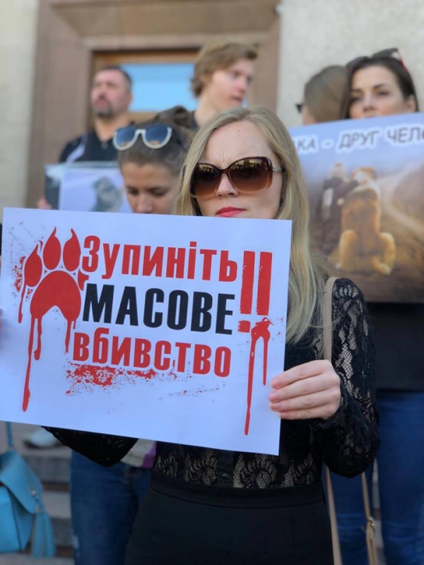 Хто відповість за масове вбивство собак у Кропивницькому. ФОТО