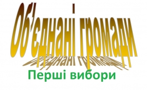 &quot;Батьківщина&quot; намагається зірвати вибори в ОТГ на Кіровоградщині. ФОТО