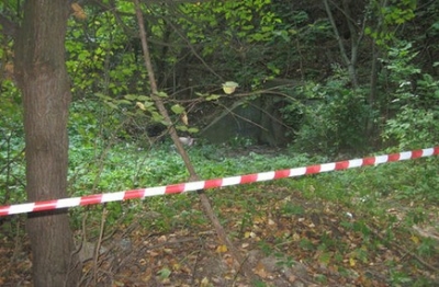 У лісосмузі на Кіровоградщині знайшли скелетовані рештки людини