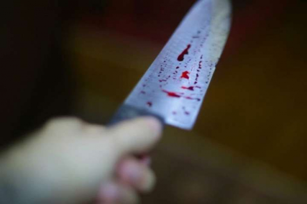 У Кропивницькому дорослий син поранив ножем свою матір (ВІДЕО)