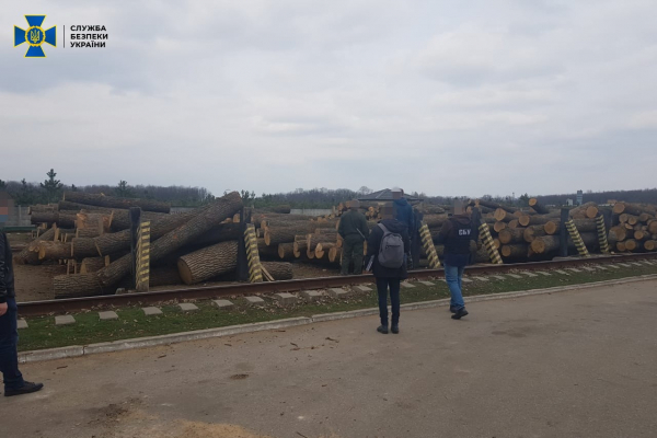В управлінні лісгоспу Кіровоградщини прокоментували масштабну контрабанду деревини