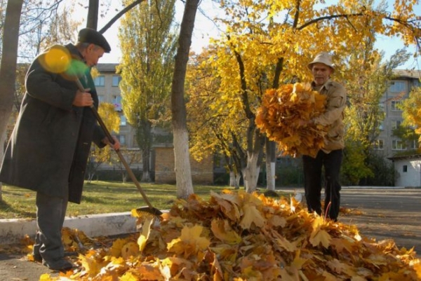 У Кропивницькому використовують революційний метод боротьби з опалим листям (ВІДЕО)