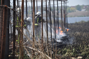 У Кропивницькому в районі Лелеківки горів очерет (ВІДЕО)