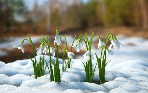 Синоптики розповіли про погоду в березні
