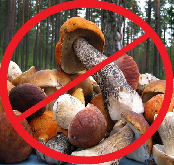 На Кіровоградщині знову отруєння  грибами