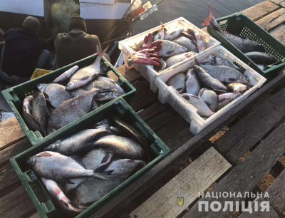 На Кіровоградщині браконьєри  спіймали 300 кг риби